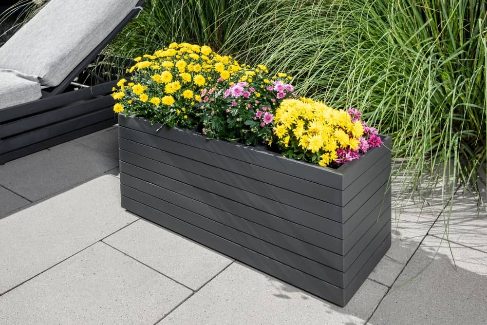 Kleiner Balkon, große Wirkung: Gestaltungsideen mit dem Prestige-Home Pflanzkübel 84 x 30 x 35 cm aus Akazienholz